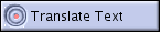 Translate Text